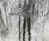 oostbroek_2016_110x90cm